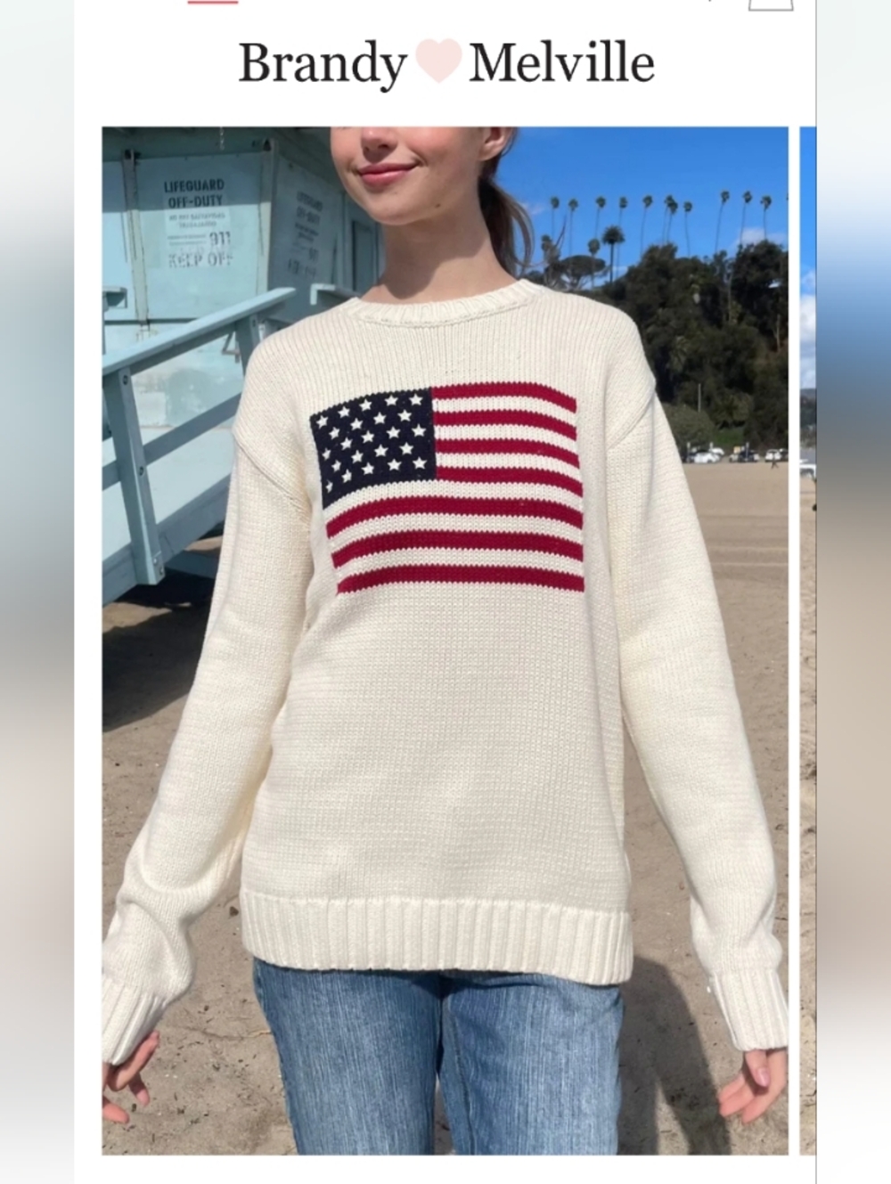 Brandy Melville Nico American Flag Sweater